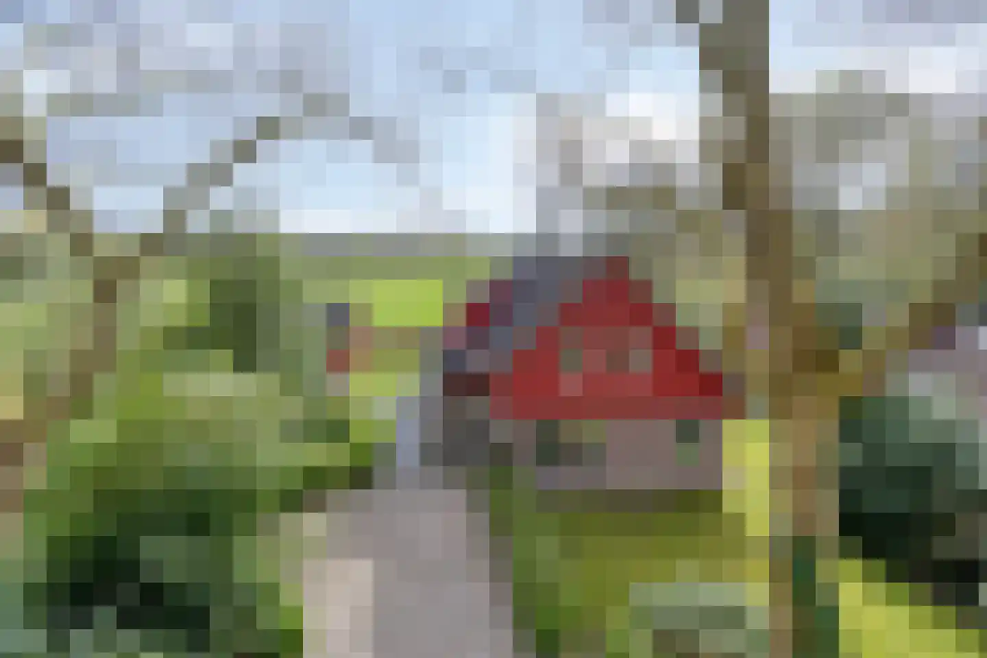 Laagduurswoude 18 Makkinga thumbnail 53