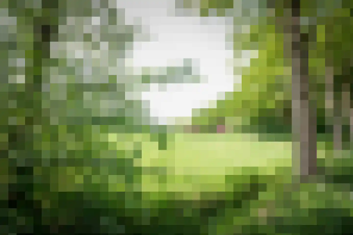 Laagduurswoude 18 Makkinga thumbnail 55