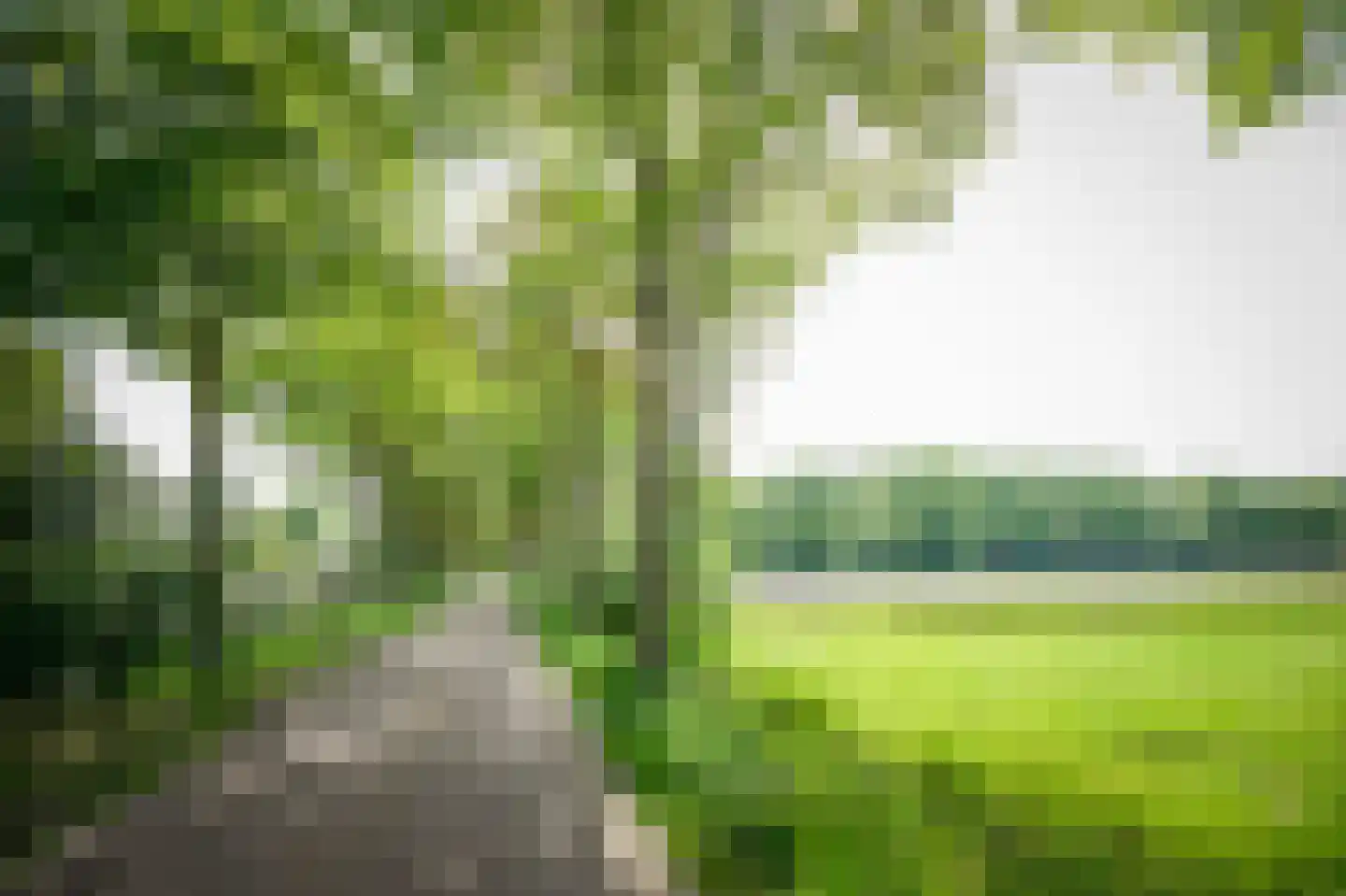 Laagduurswoude 18 Makkinga thumbnail 57
