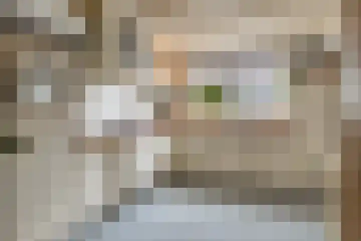 Laageinde 12 Waalwijk thumbnail 11