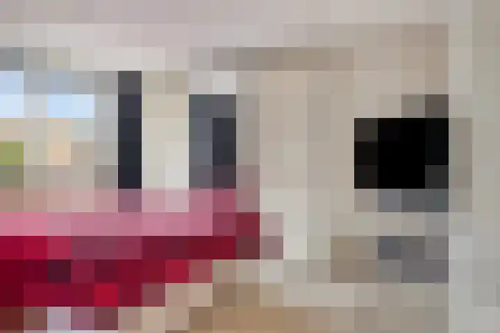 Laageinde 12 Waalwijk thumbnail 16