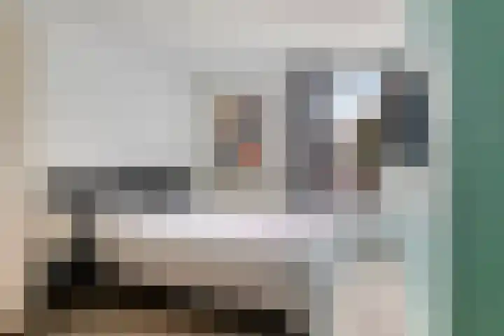 Laageinde 12 Waalwijk thumbnail 18