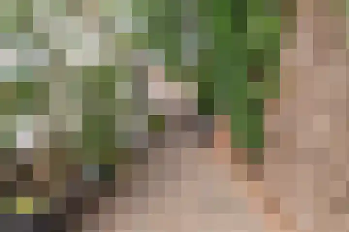 Laageinde 12 Waalwijk thumbnail 28