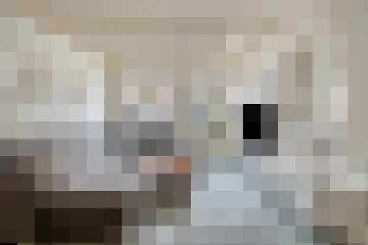 Laageinde 12 Waalwijk thumbnail 5