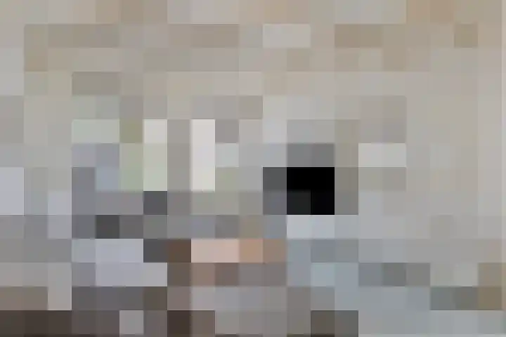 Laageinde 12 Waalwijk thumbnail 6