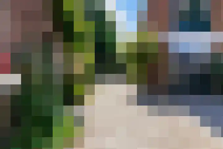 Laageinde 2 Waalwijk thumbnail 38