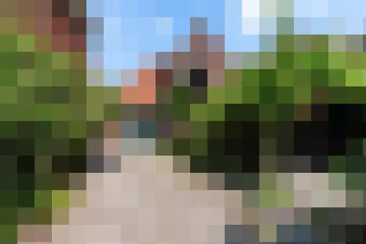 Laageinde 2 Waalwijk thumbnail 4
