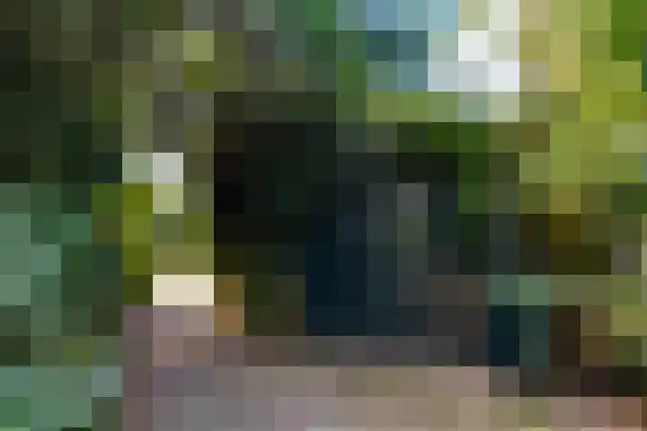 Laageinde 2 Waalwijk thumbnail 40