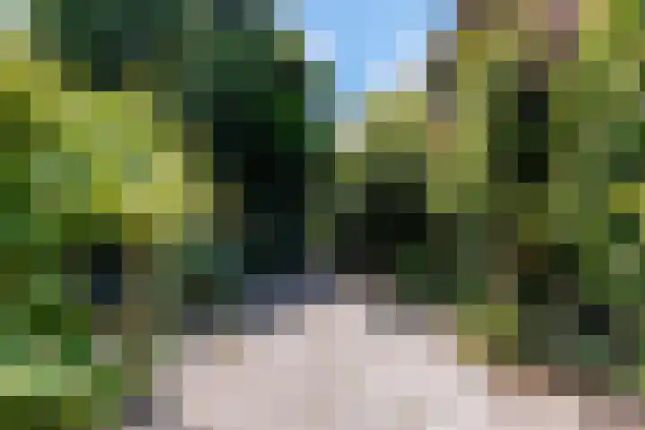 Laageinde 2 Waalwijk thumbnail 41