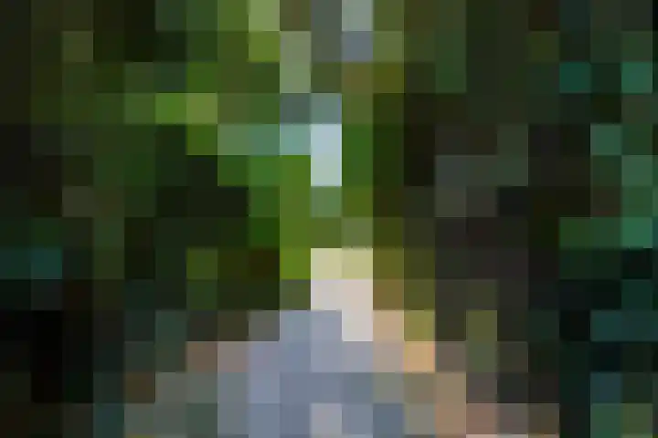 Laageinde 2 Waalwijk thumbnail 42