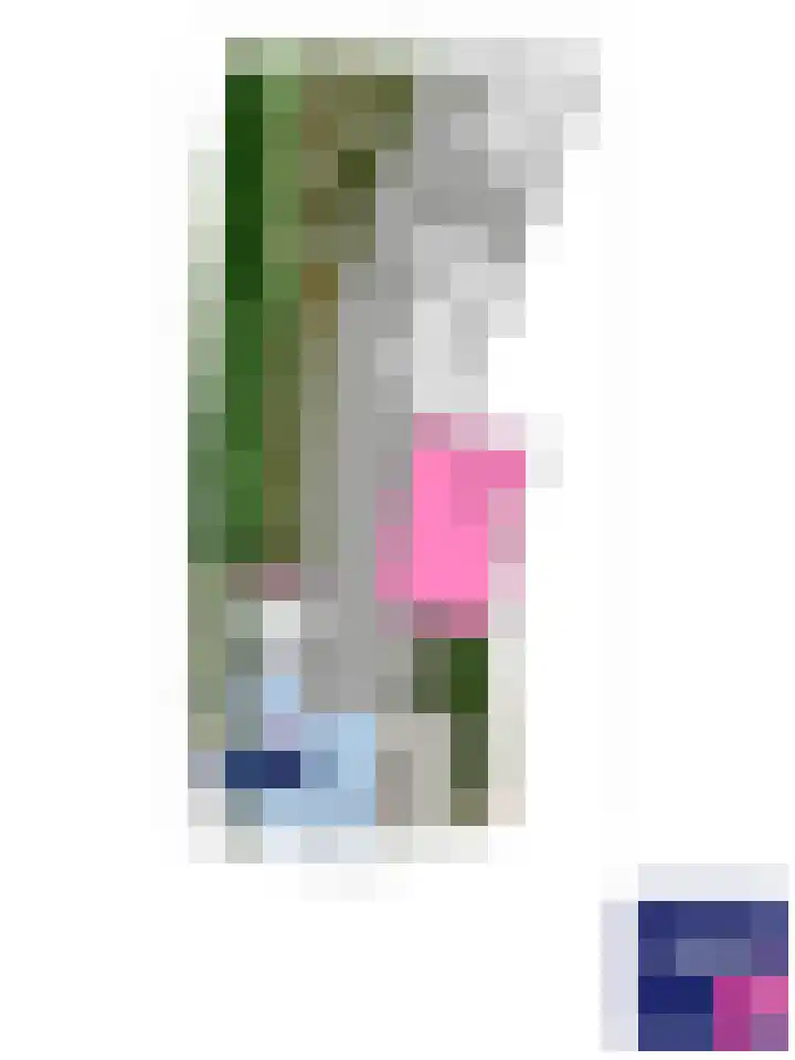 Laageinde 2 Waalwijk thumbnail 5