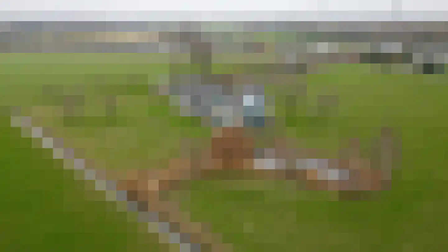 Laageinde 23 a Kapel-Avezaath thumbnail 5