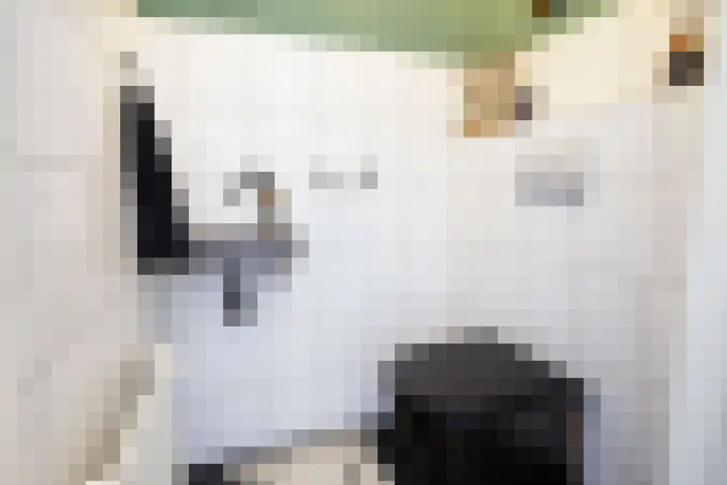 Laageinde 23 Waalwijk thumbnail 23