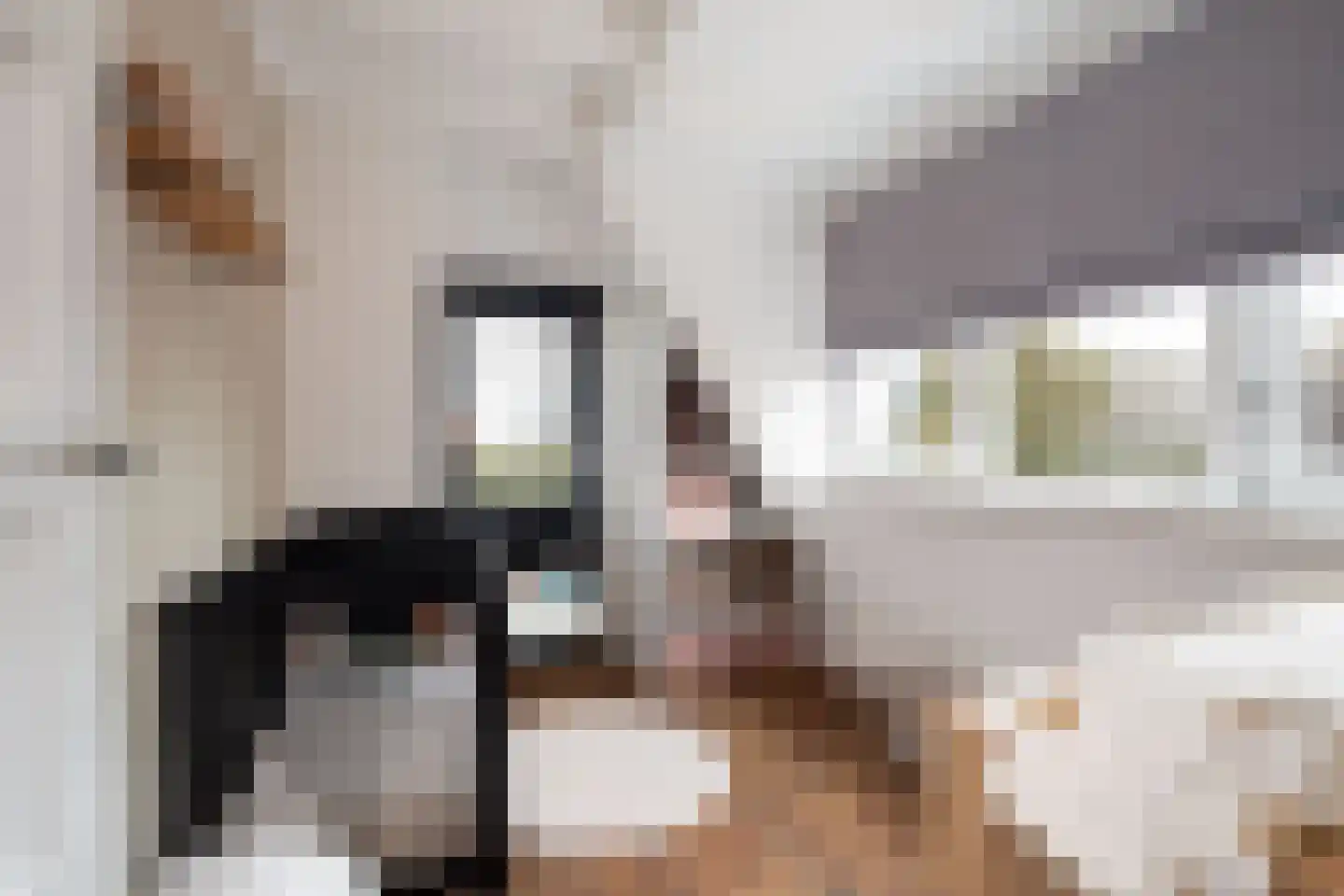 Laageinde 23 Waalwijk thumbnail 33
