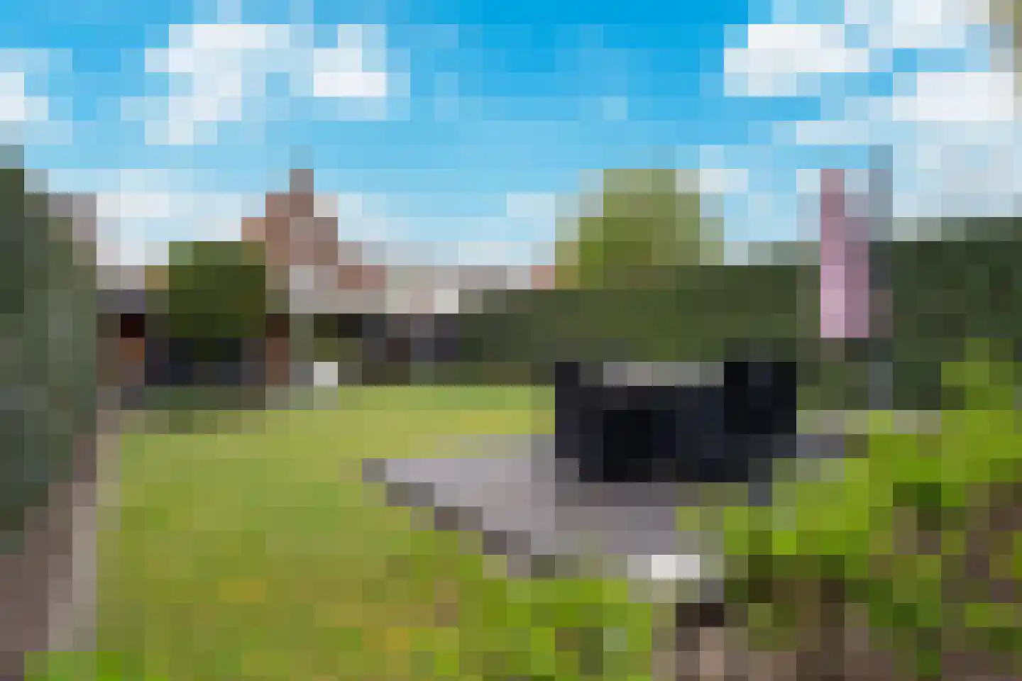 Laageinde 23 Waalwijk thumbnail 4