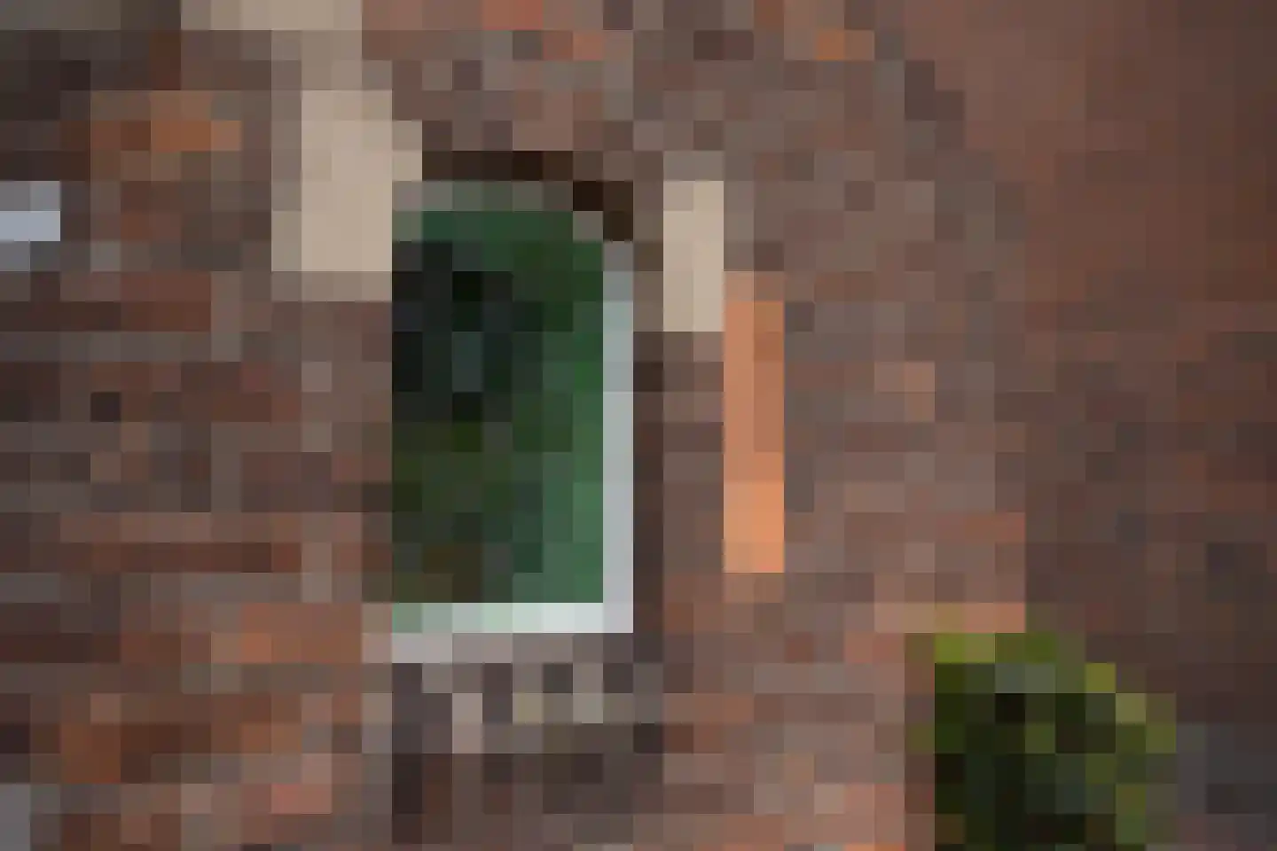 Laageinde 23 Waalwijk thumbnail 7