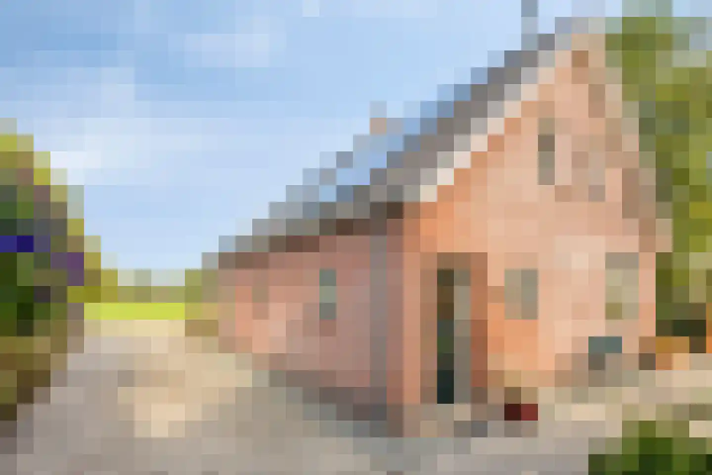 Laageinde 27 Kapel-Avezaath thumbnail 30