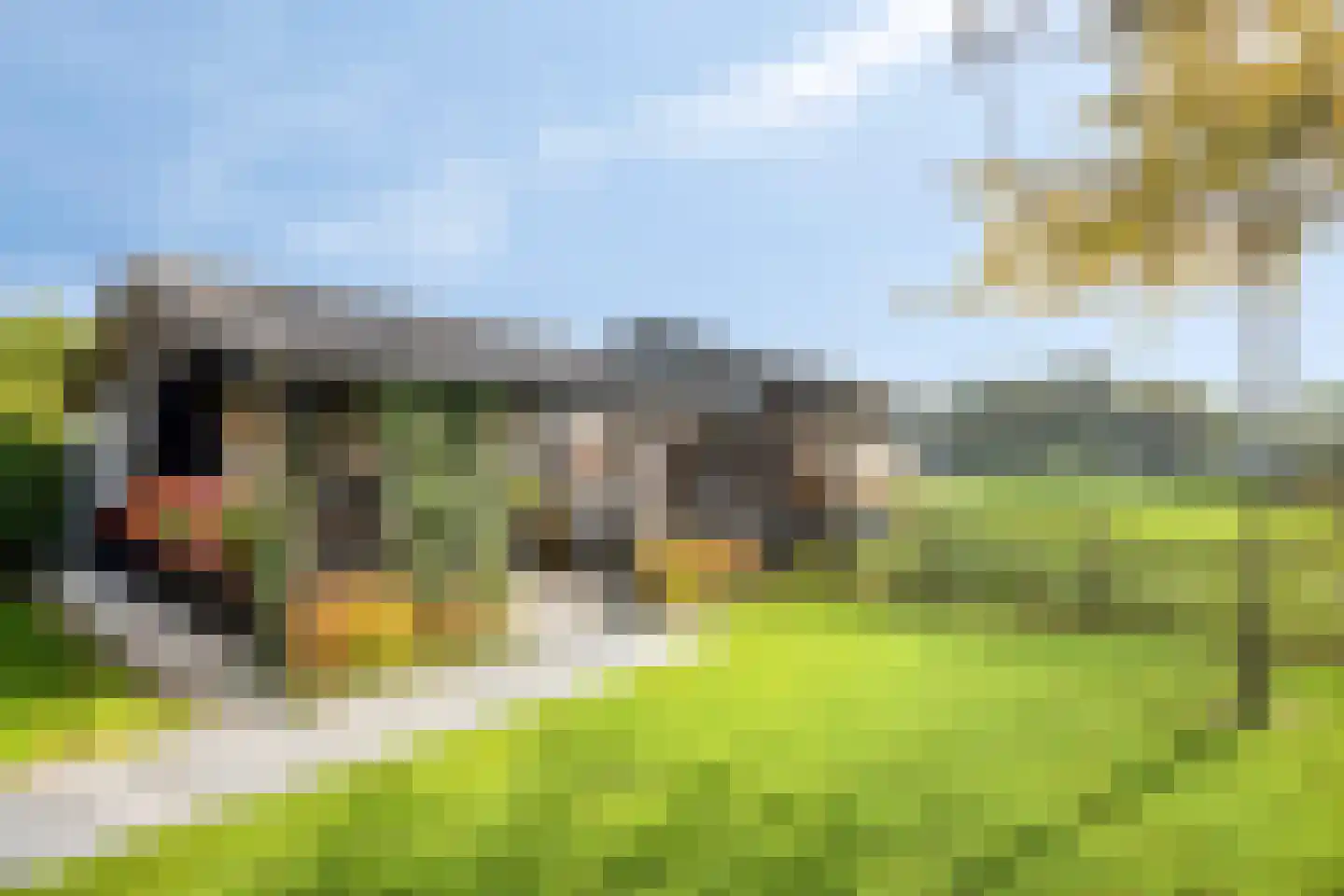 Laageinde 27 Kapel-Avezaath thumbnail 36