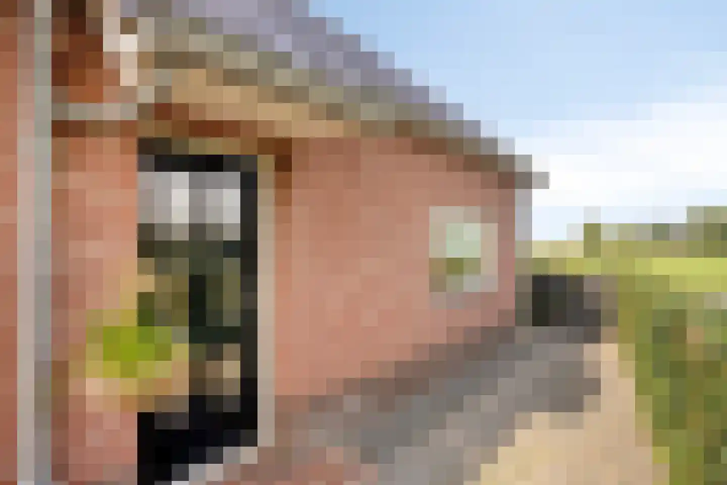 Laageinde 27 Kapel-Avezaath thumbnail 6