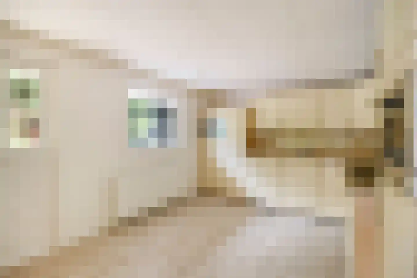 Laageinde 30 a Kapel-Avezaath thumbnail 11
