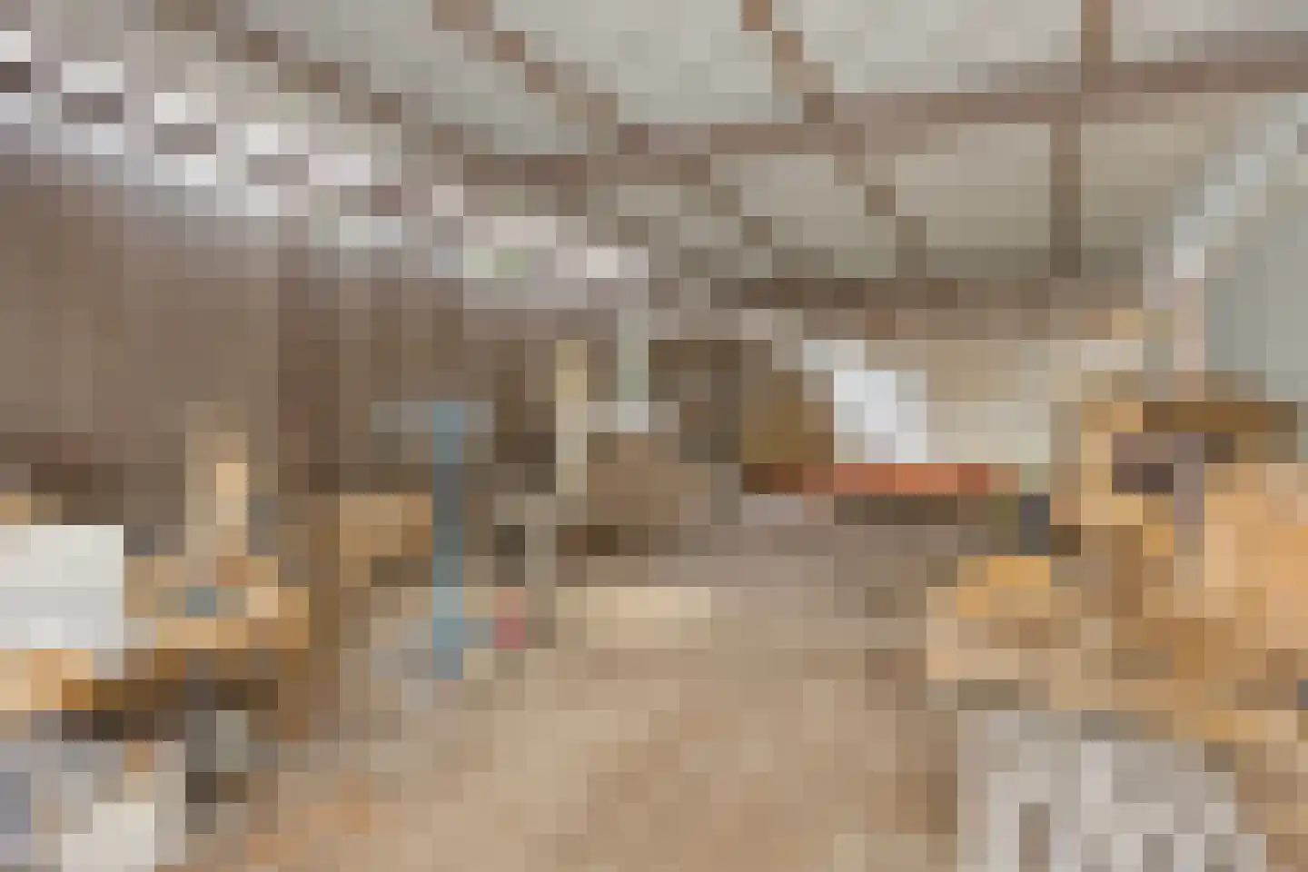 Laageinde 30 a Kapel-Avezaath thumbnail 25
