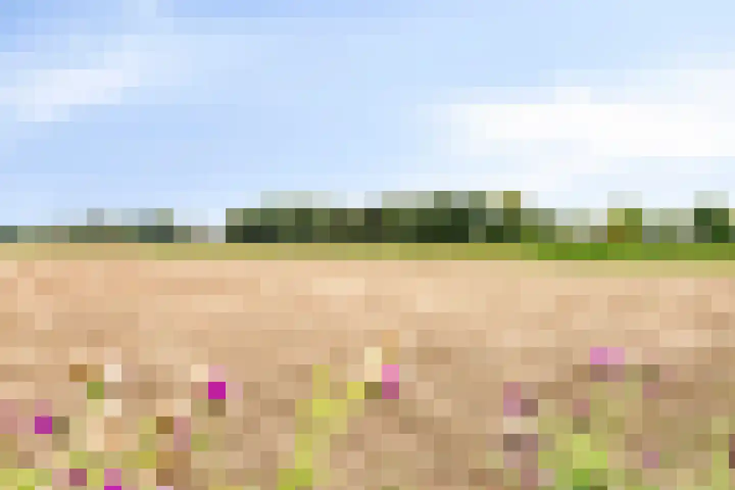 Laageinde 30 a Kapel-Avezaath thumbnail 29