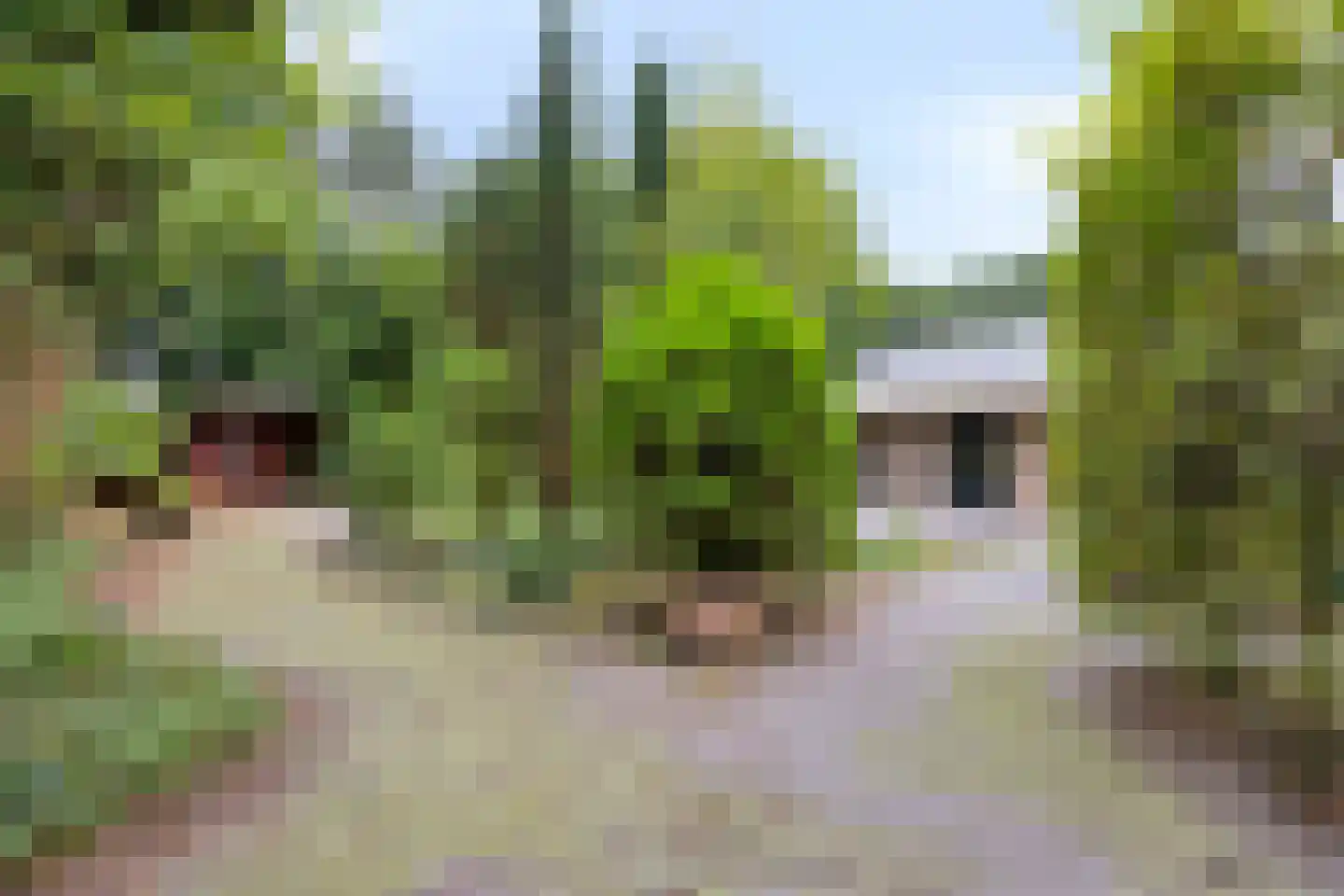 Laageinde 30 a Kapel-Avezaath thumbnail 30