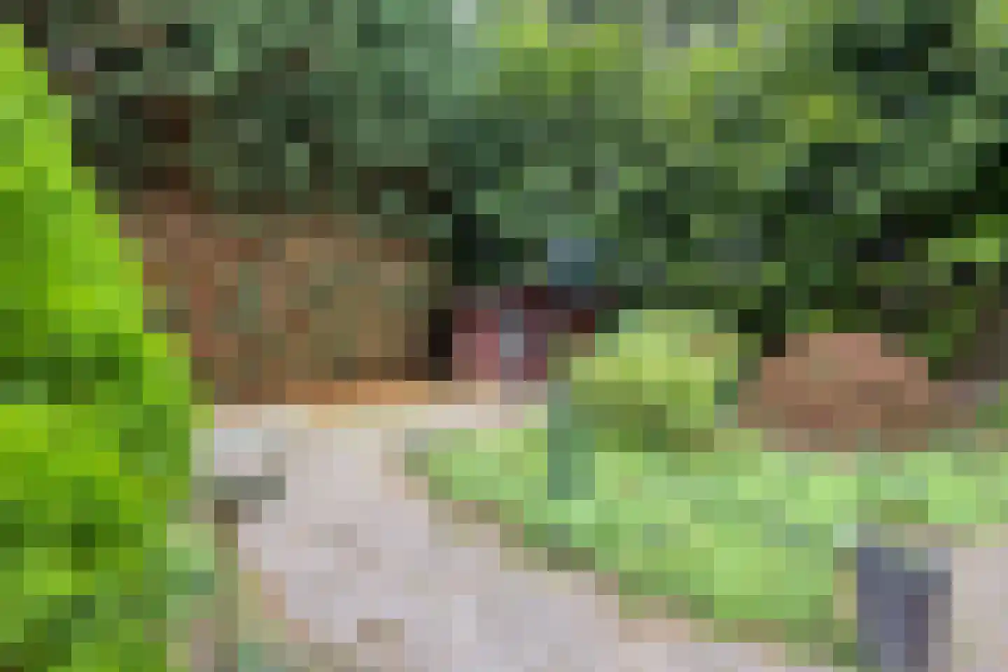 Laageinde 30 a Kapel-Avezaath thumbnail 31