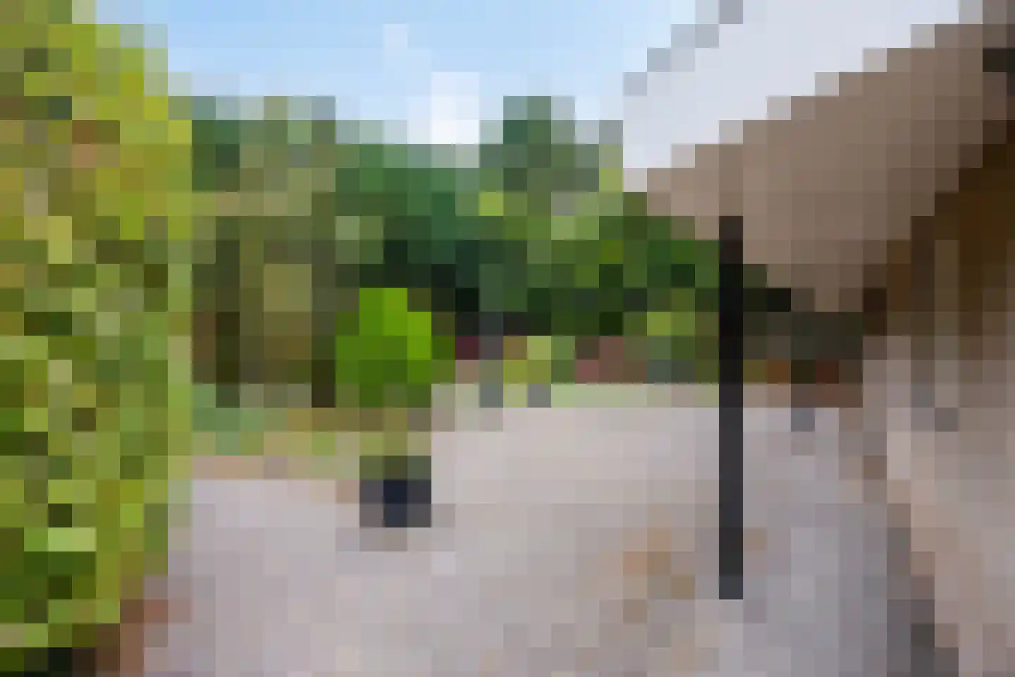 Laageinde 30 a Kapel-Avezaath thumbnail 38