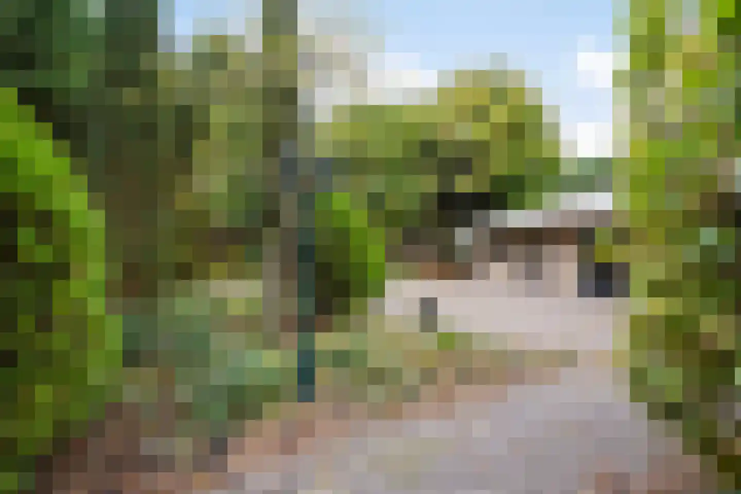 Laageinde 30 a Kapel-Avezaath thumbnail 39