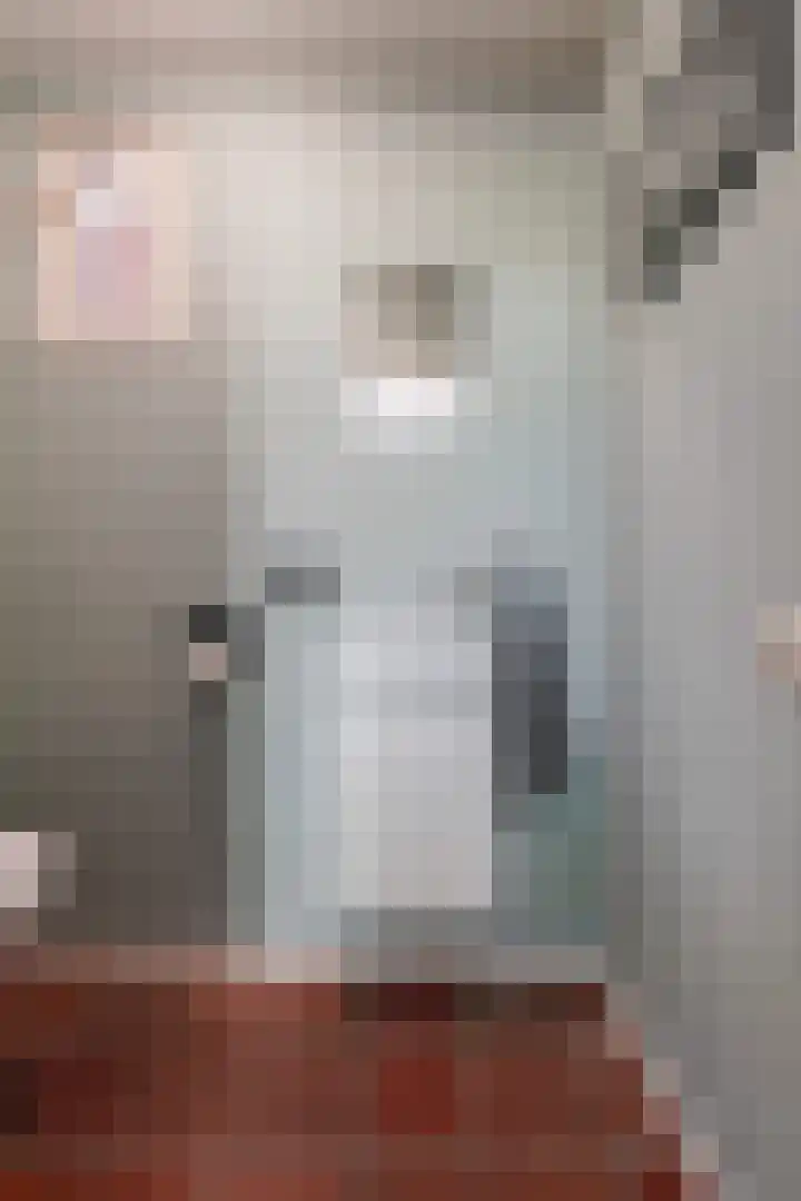 Laageinde 33 Waalwijk thumbnail 21