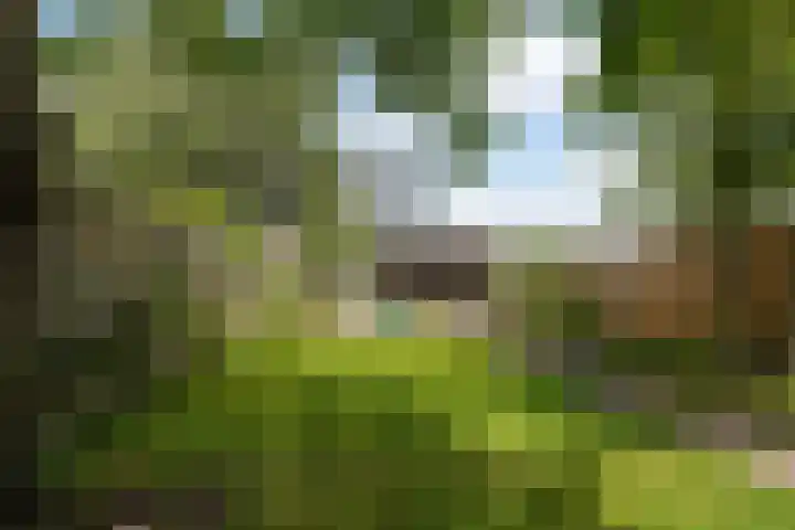 Laageinde 33 Waalwijk thumbnail 38