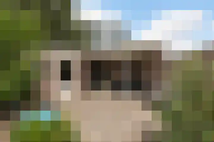 Laageinde 33 Waalwijk thumbnail 39