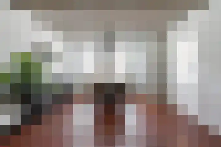 Laageinde 33 Waalwijk thumbnail 8
