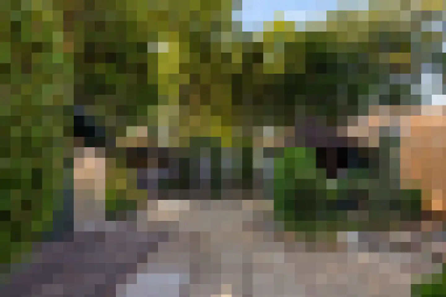 Laageinde 62 Waalwijk thumbnail 40