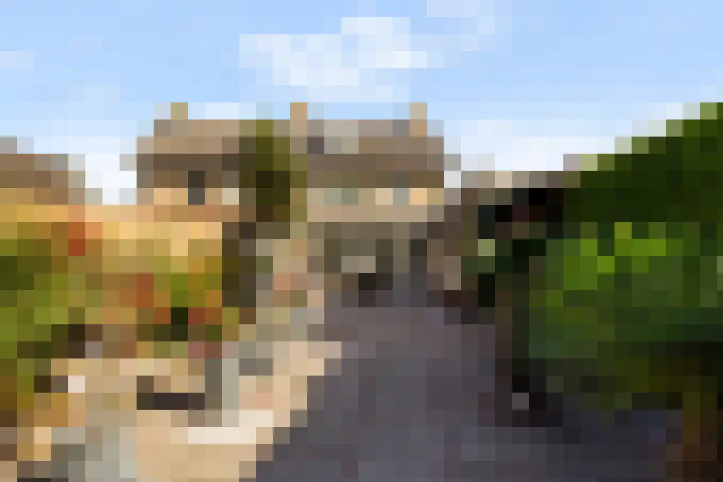 Laageinde 62 Waalwijk thumbnail 41