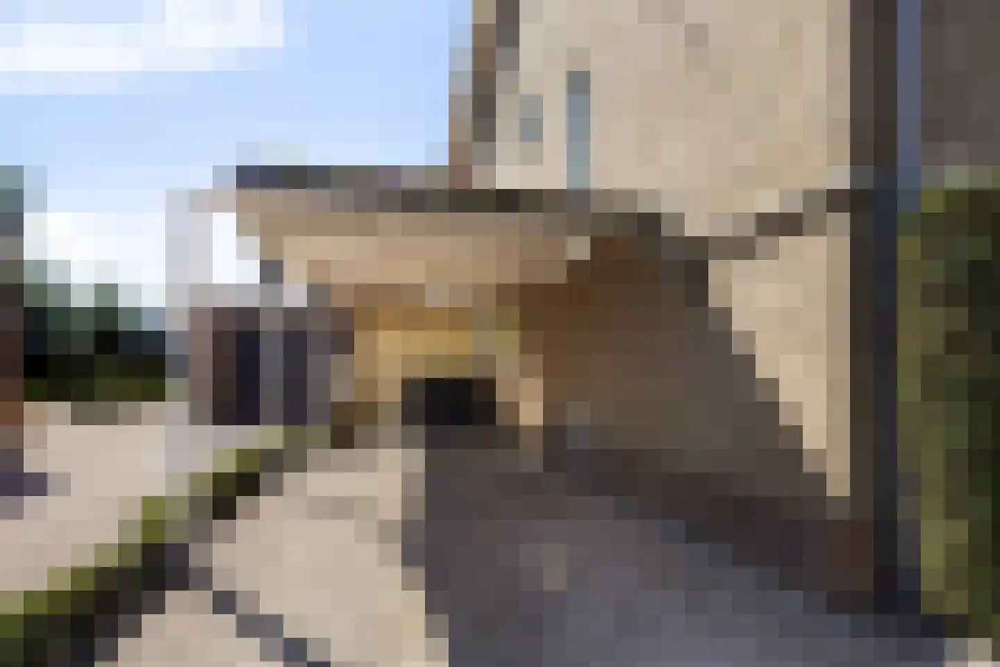 Laageinde 62 Waalwijk thumbnail 44