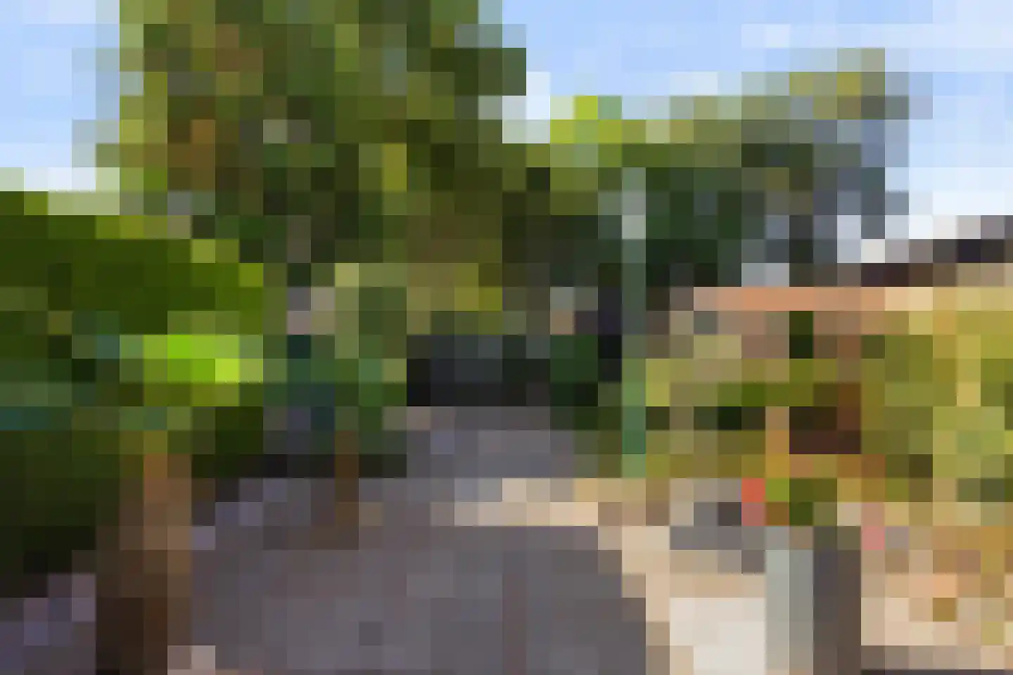 Laageinde 62 Waalwijk thumbnail 5