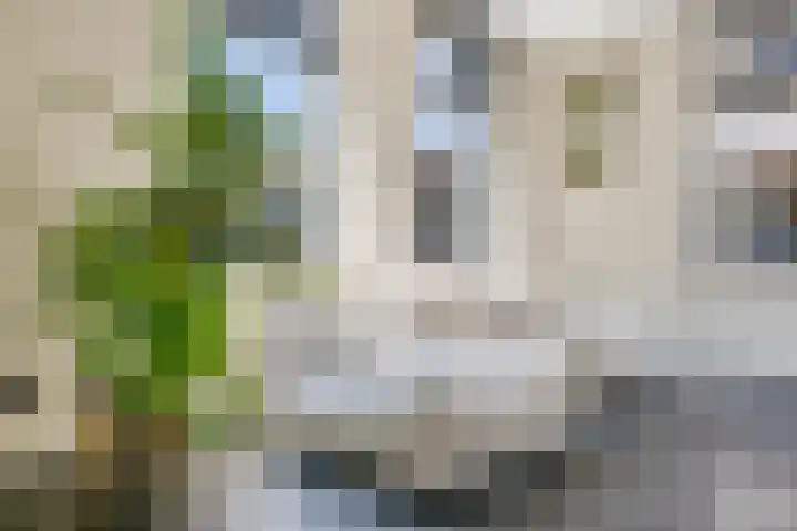 Laageinde 64 Waalwijk thumbnail 14