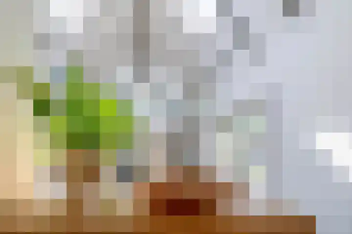 Laageinde 64 Waalwijk thumbnail 19