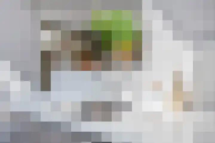 Laageinde 64 Waalwijk thumbnail 23