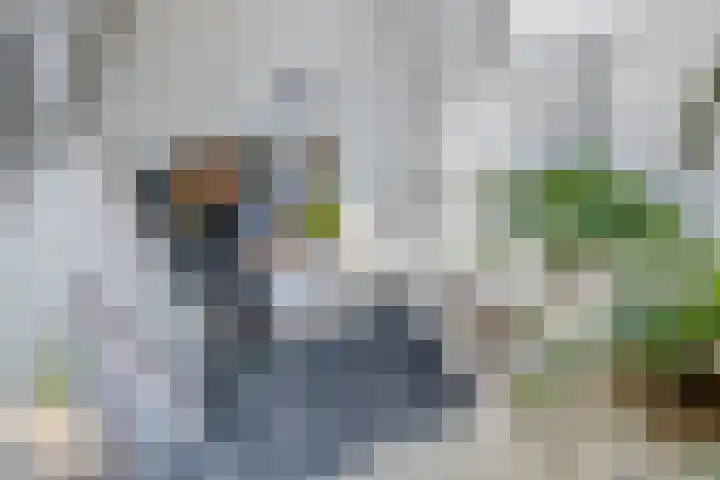 Laageinde 64 Waalwijk thumbnail 25