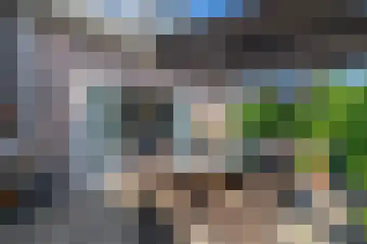 Laageinde 64 Waalwijk thumbnail 27