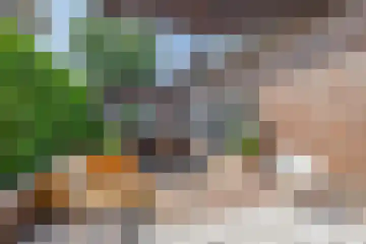 Laageinde 64 Waalwijk thumbnail 29