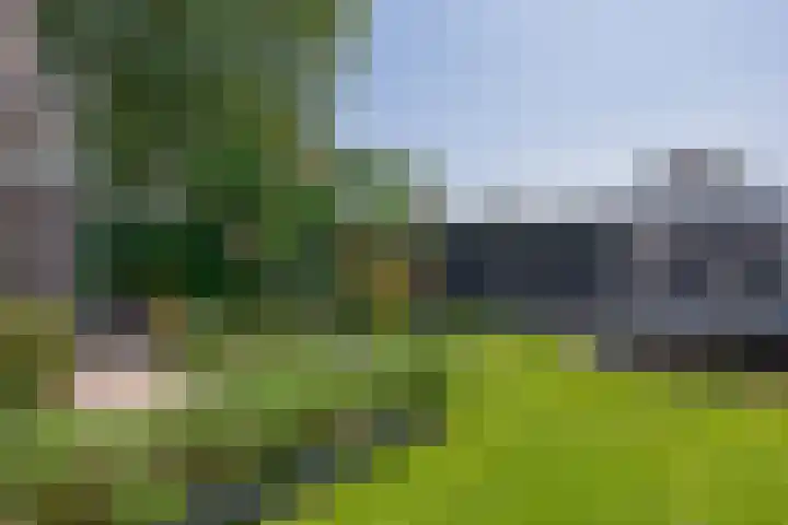 Laageinde 64 Waalwijk thumbnail 38