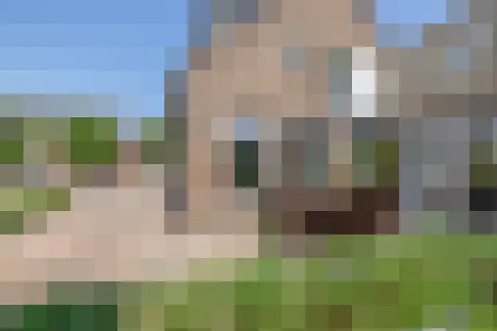 Laageinde 64 Waalwijk thumbnail 40