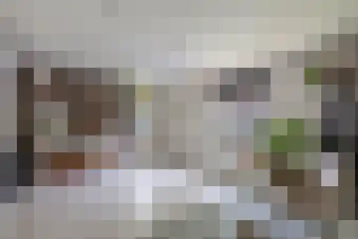 Laageinde 64 Waalwijk thumbnail 52