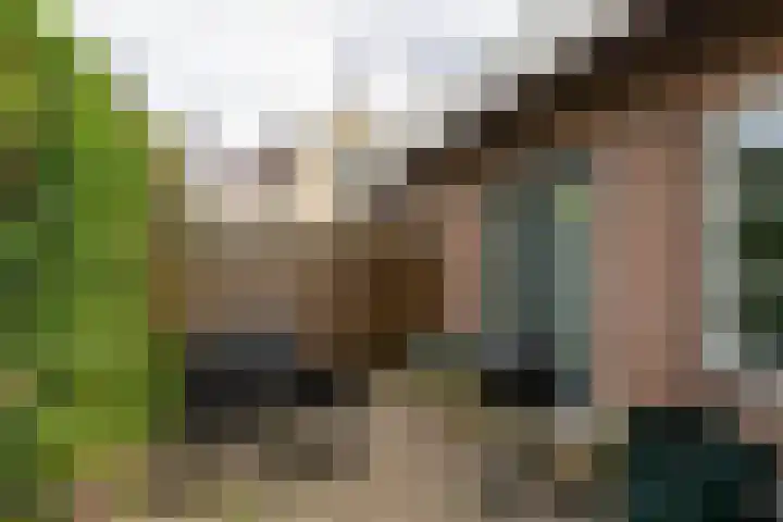 Laageinde 65 c Waalwijk thumbnail 19
