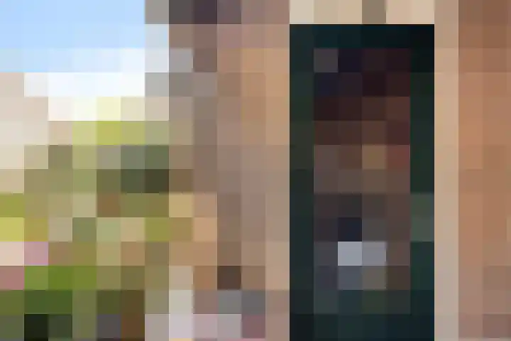 Laageinde 65 c Waalwijk thumbnail 8