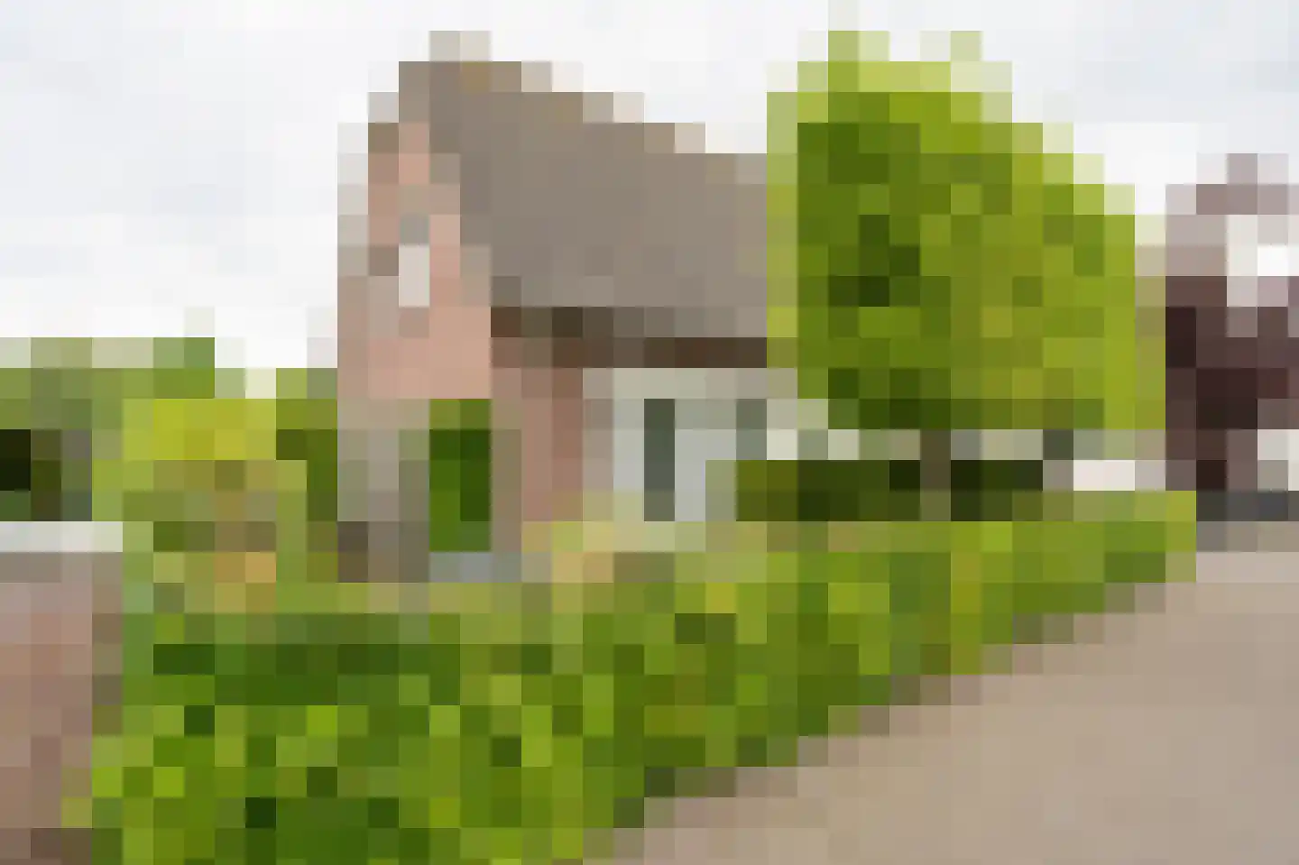 Laageinde 92 b Geldermalsen